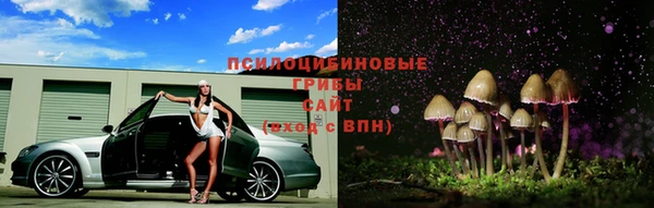 крисы Белоозёрский