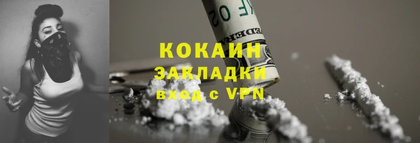 дживик Богородск