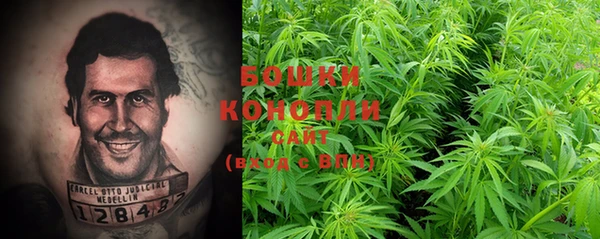 крисы Богородицк