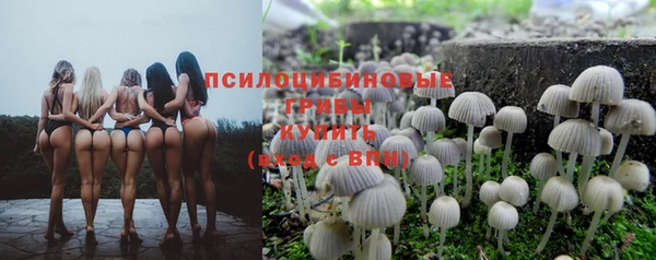 дживик Богородск
