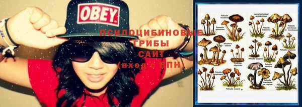PSILOCYBIN Беломорск