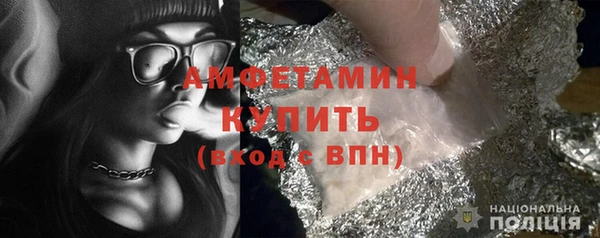 крисы Богородицк