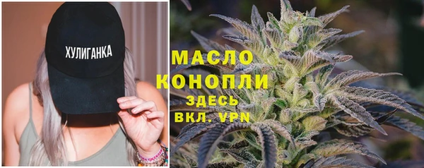 дживик Богородск